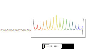 To break new ground with frequency combs, an innovation plays with the beat.png